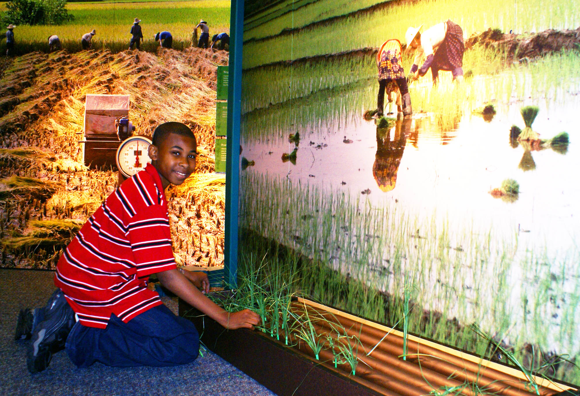 exhibits programs museum professionals traveling exhibit rentals exhibits programs museum professionals traveling exhibit rentals